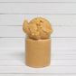 OATMEAL HONEY EMULSIFIED SCRUB